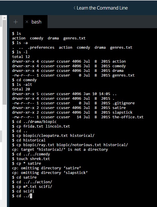 codeacademy-10-jan-2017-1